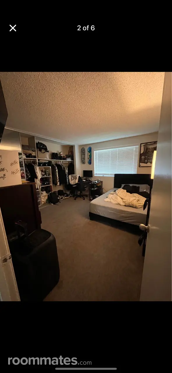 Profile photo 1 of 7