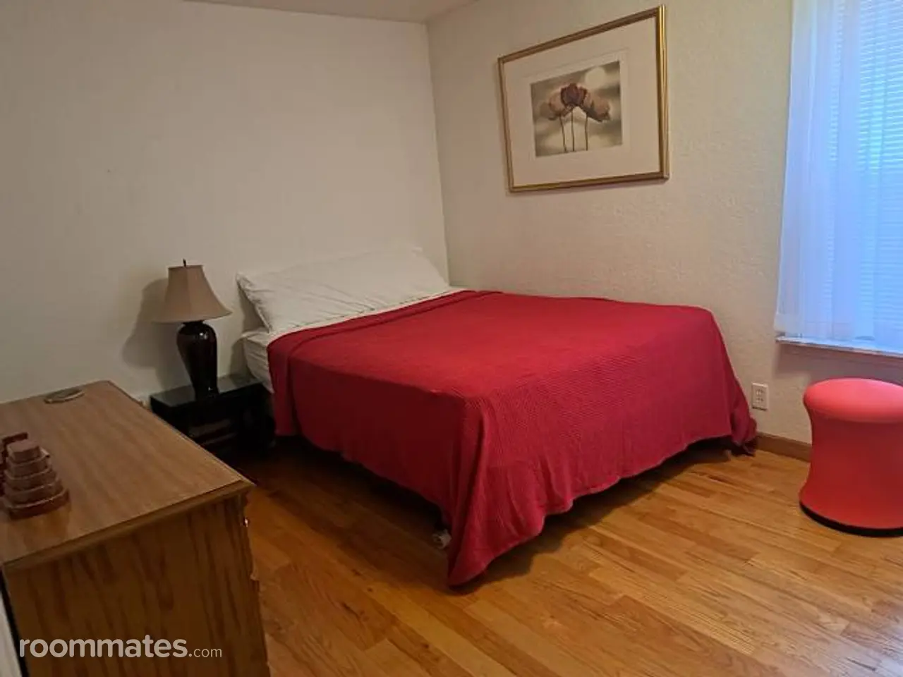 Profile photo 1 of 11