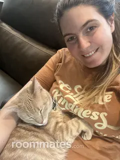 Roommate looking Springfield MO, $500