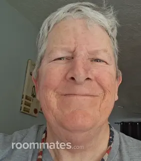 Roommate looking Sarasota, FL, $1000