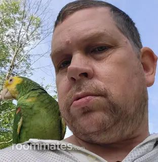 Roommate looking Johnstown, NY, $800