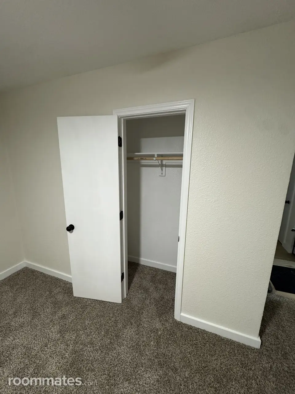 Profile photo 4 of 6