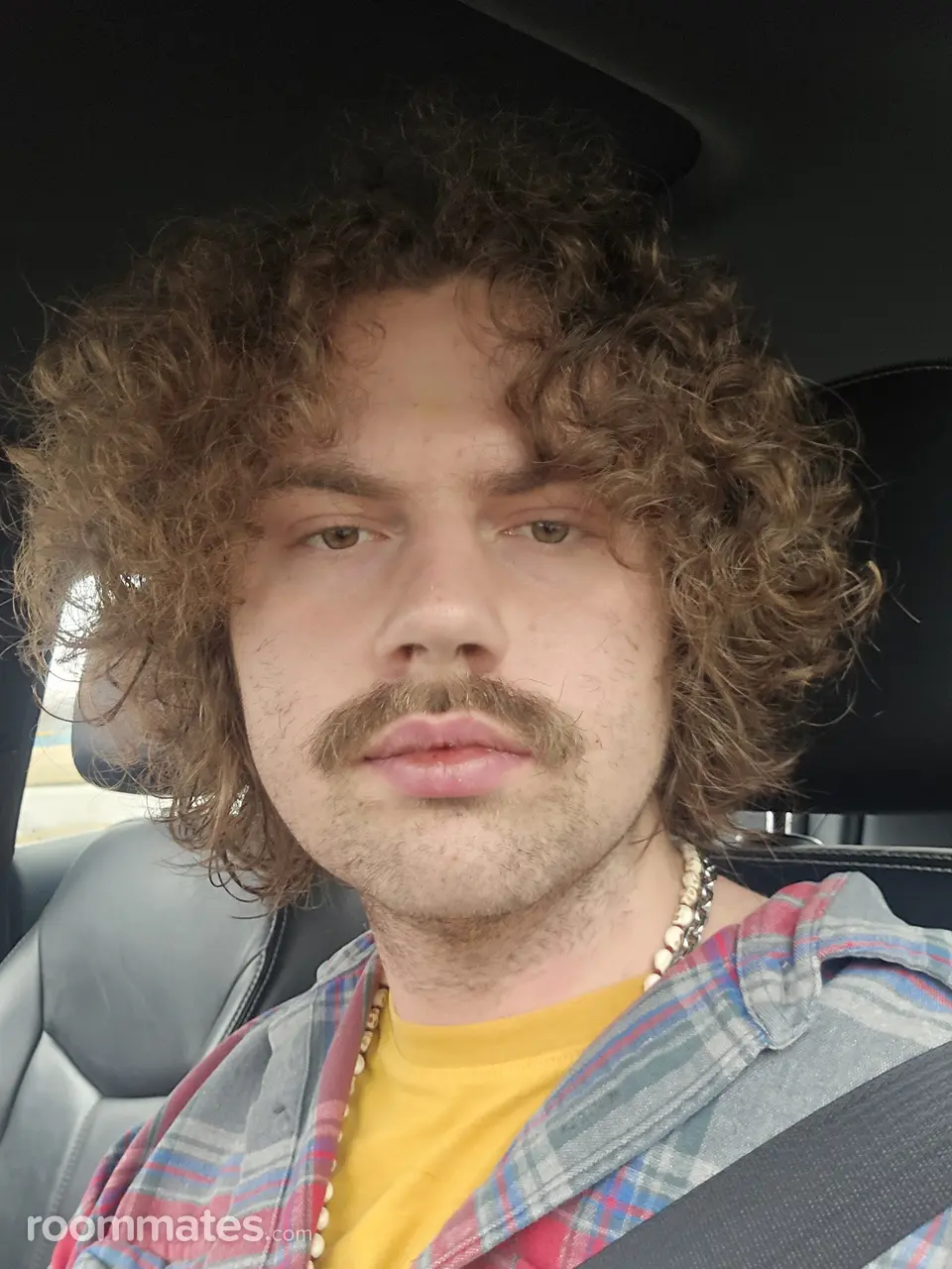 Profile photo 2 of 2