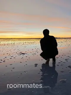 Roommate looking Gilbert, AZ, $1000