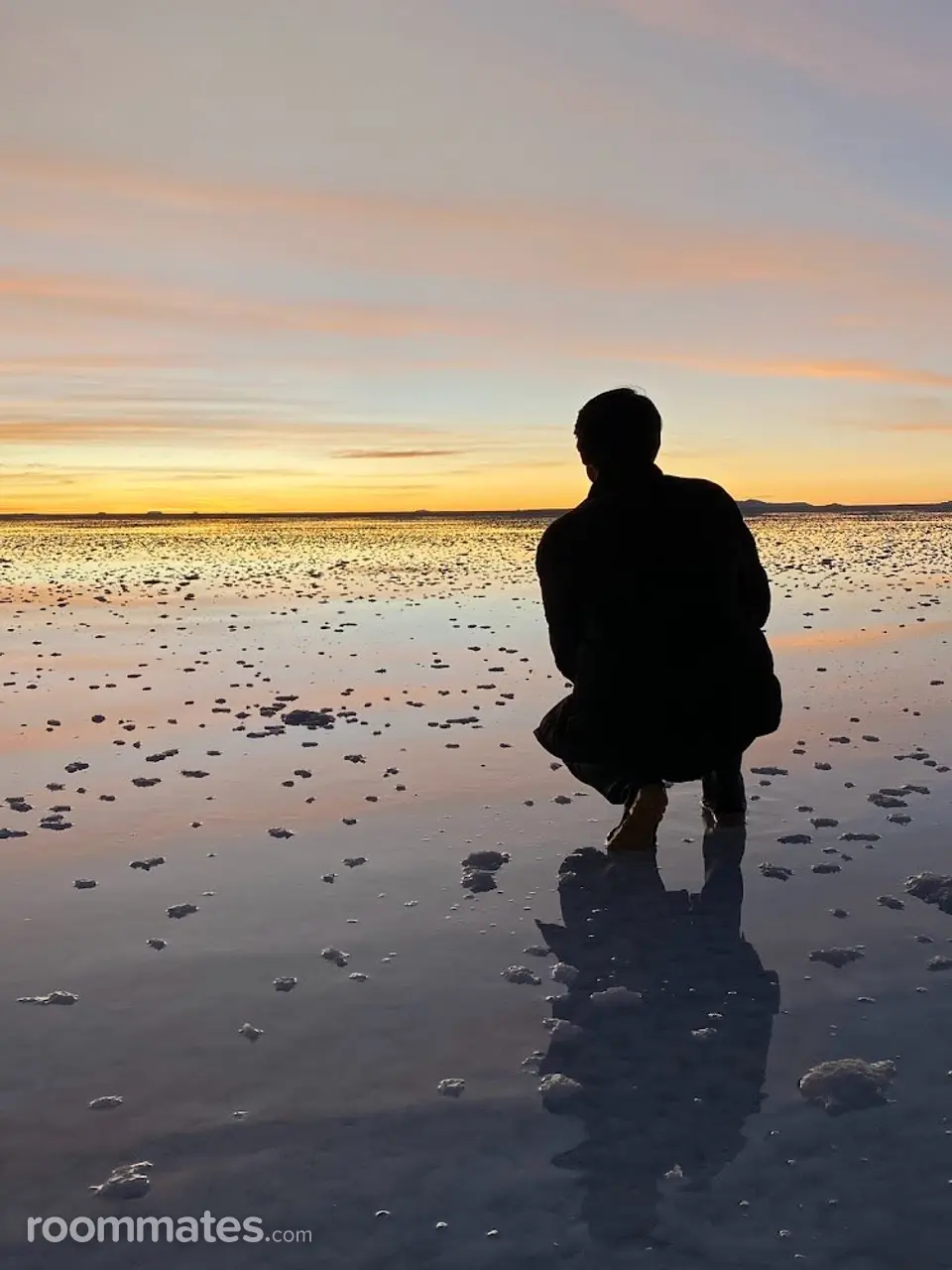 Profile photo 1 of 1