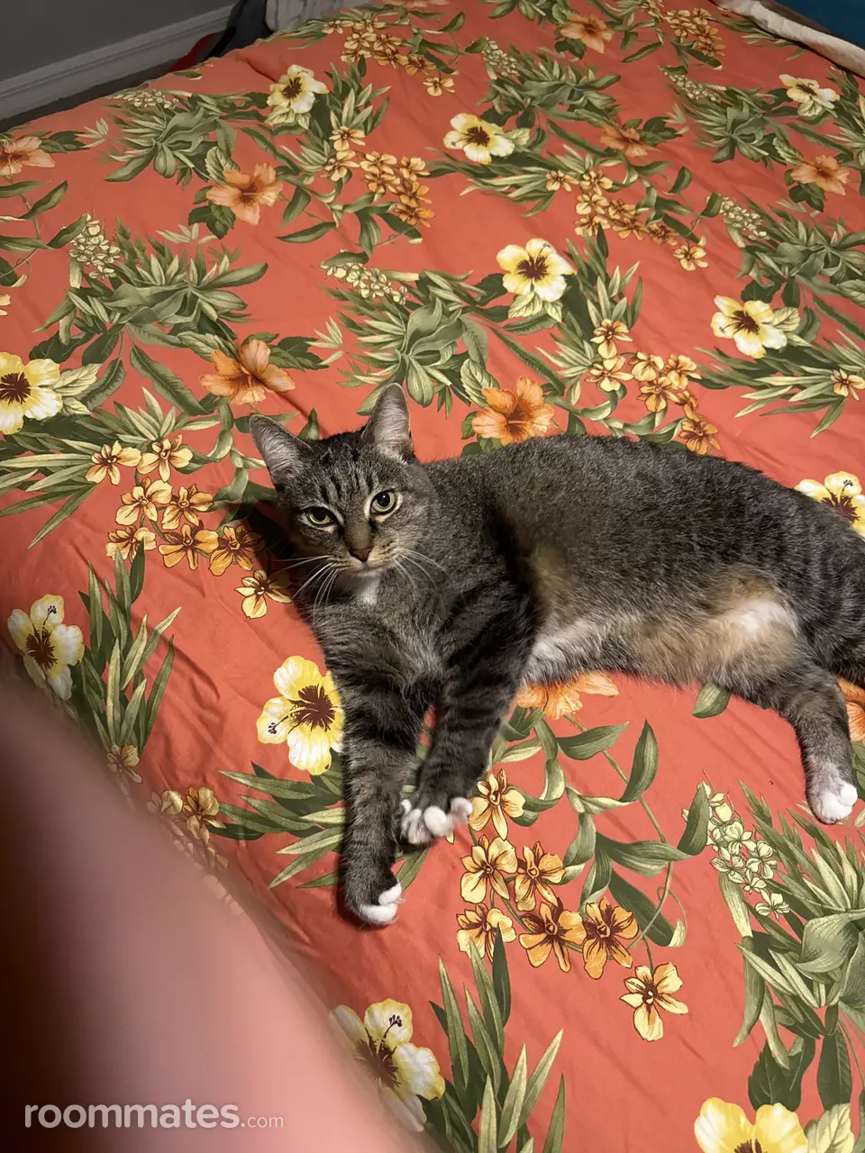 Profile photo 4 of 6