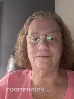 Roommate looking North Port, FL, $800