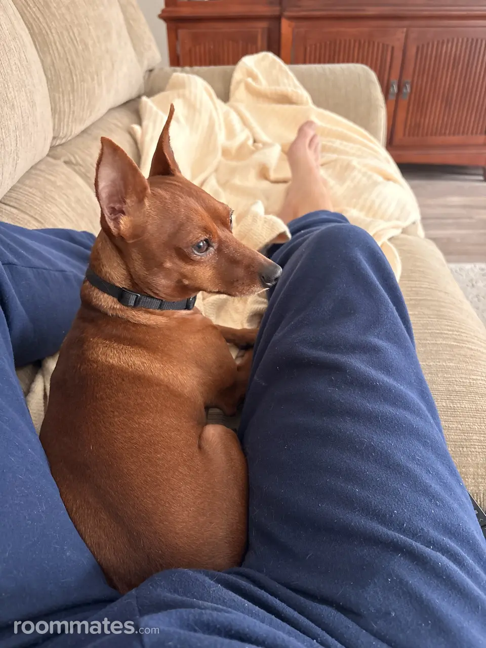 Profile photo 2 of 3