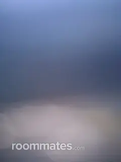 Roommate looking Metairie, LA, $600