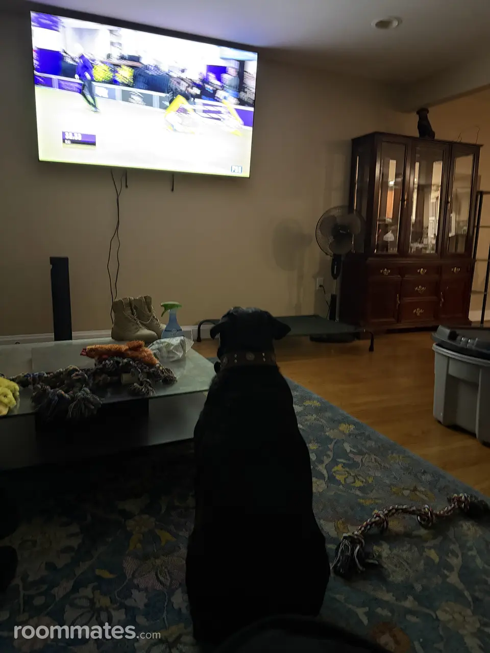 Profile photo 1 of 7