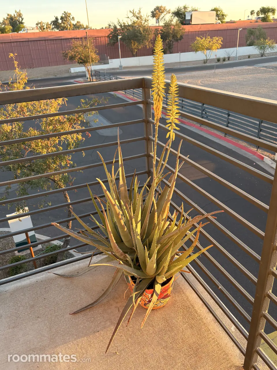 Profile photo 7 of 8