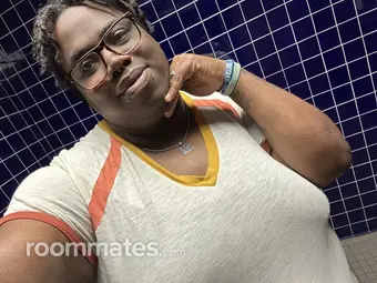 Roommate looking New Orleans LA, $800