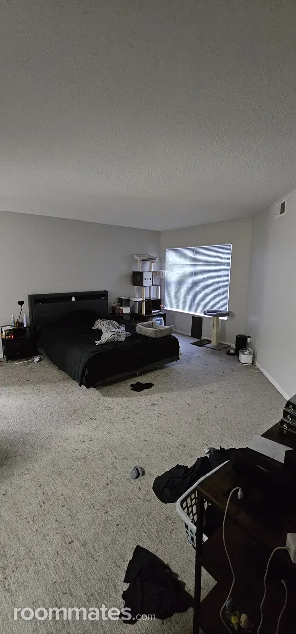 Profile photo 4 of 11