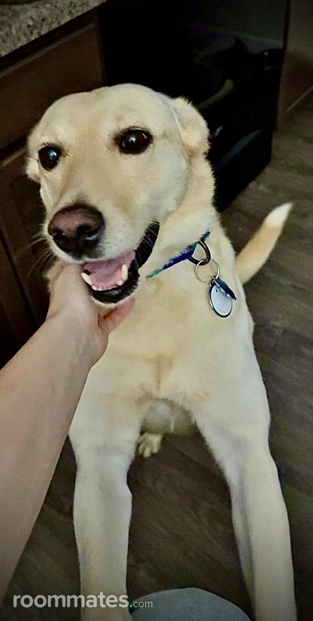 Profile photo 2 of 6