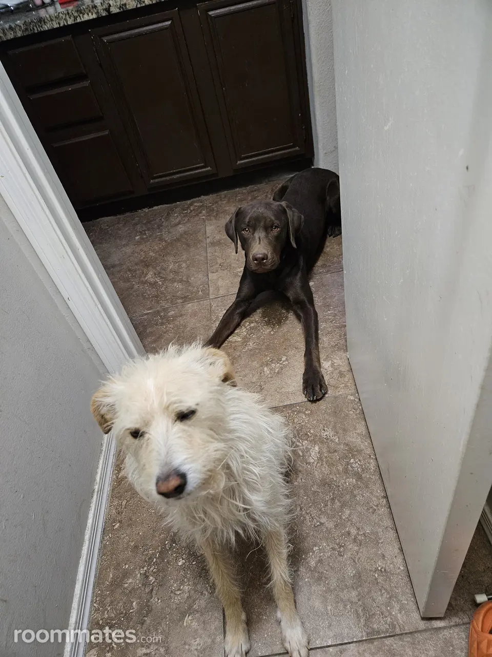 Profile photo 10 of 11