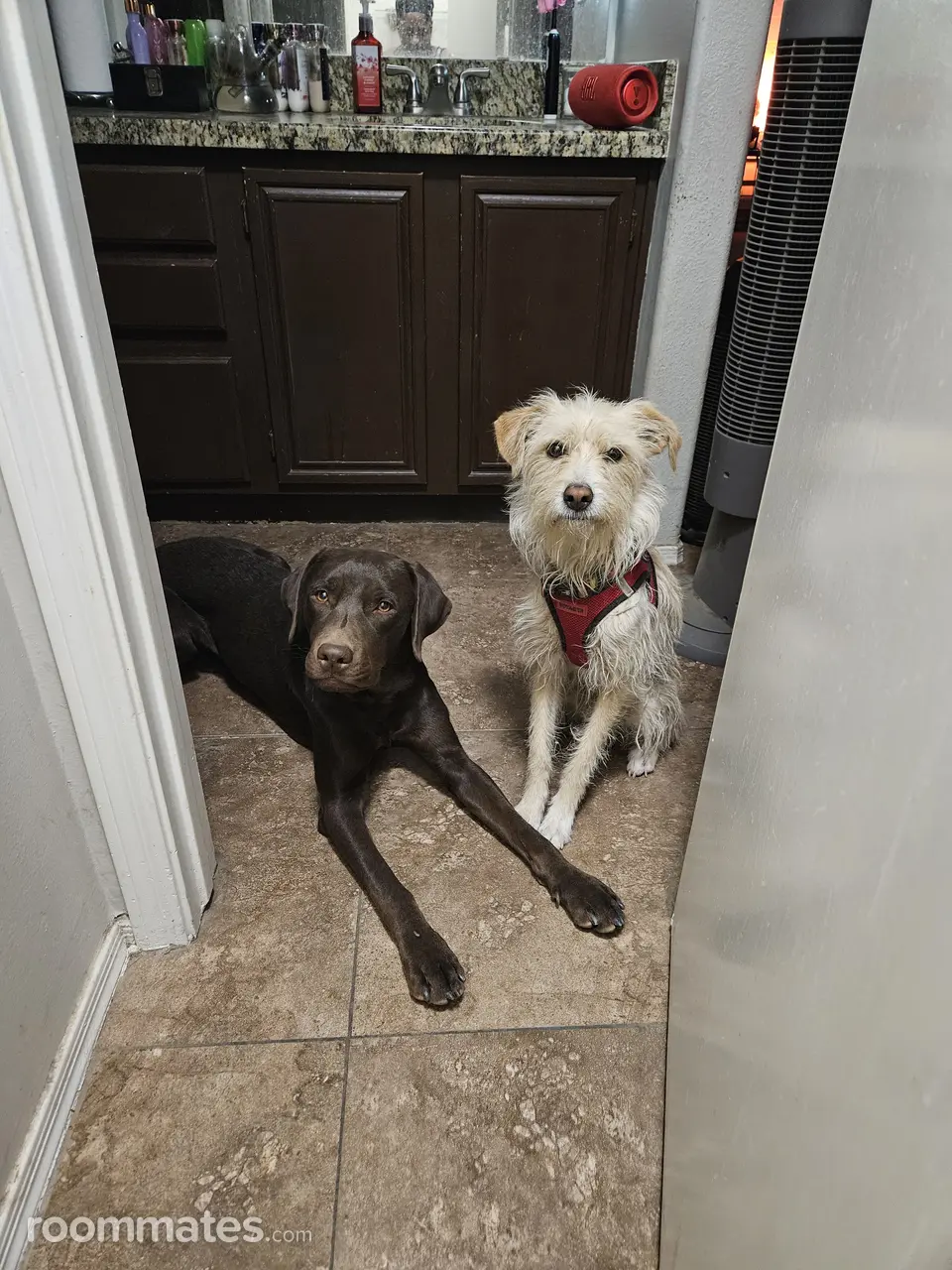 Profile photo 9 of 11