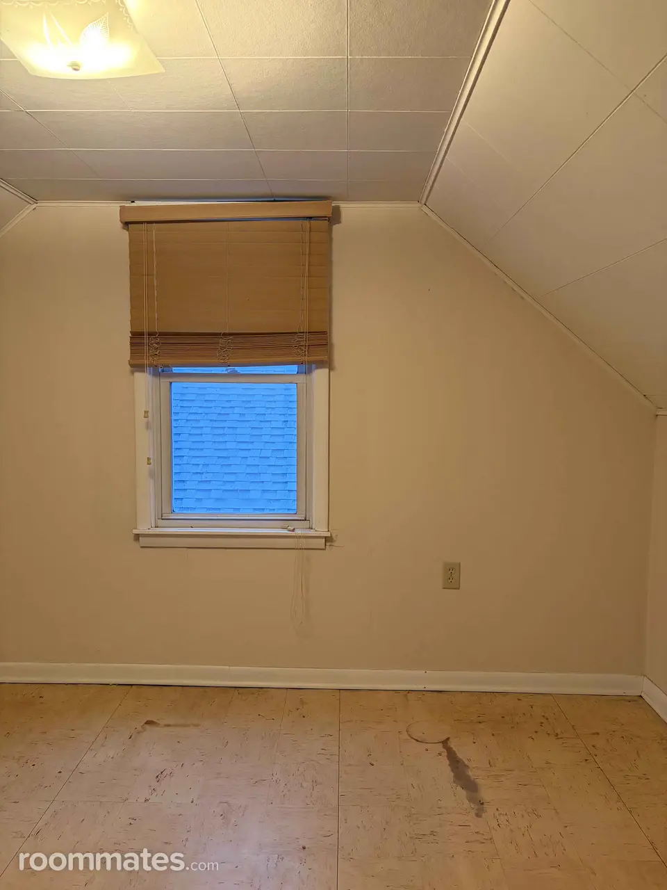 Profile photo 5 of 9