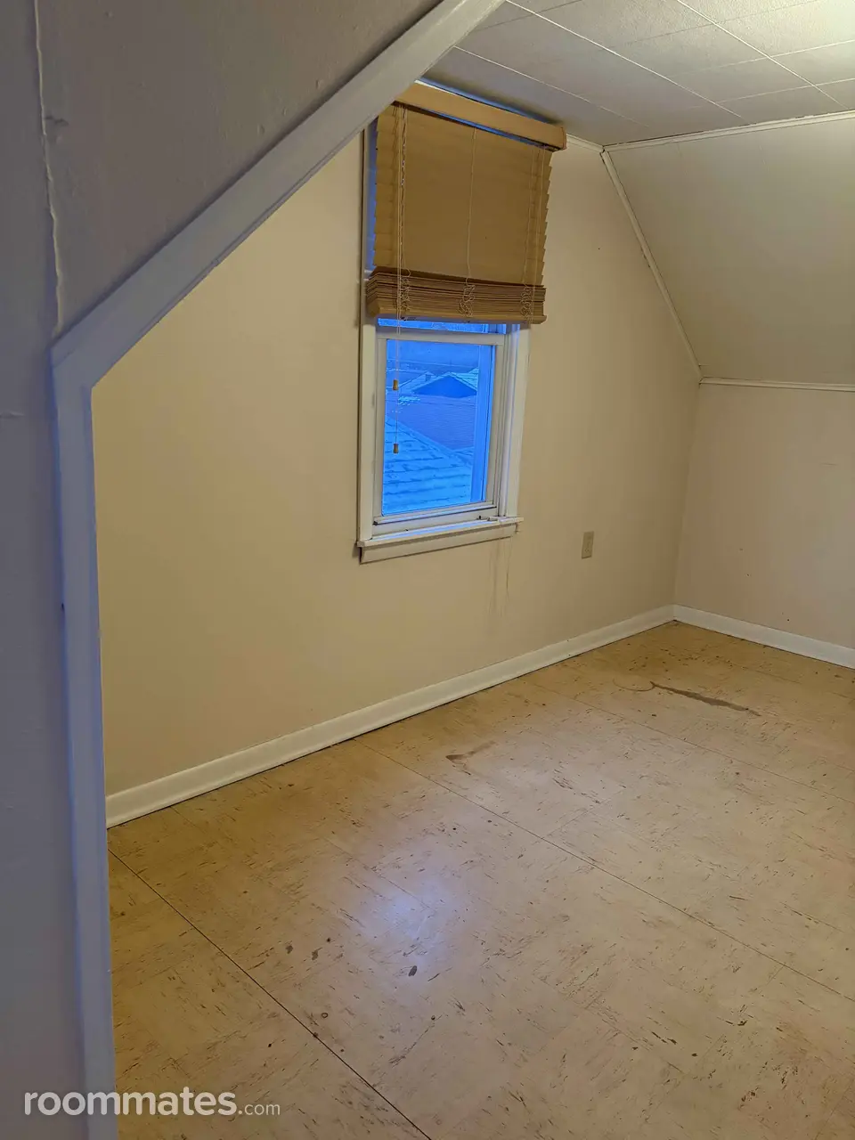 Profile photo 8 of 9