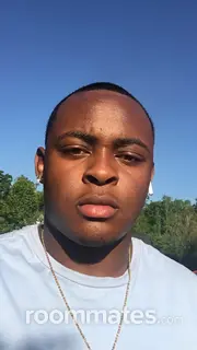 Roommate looking Greenville, SC, $600