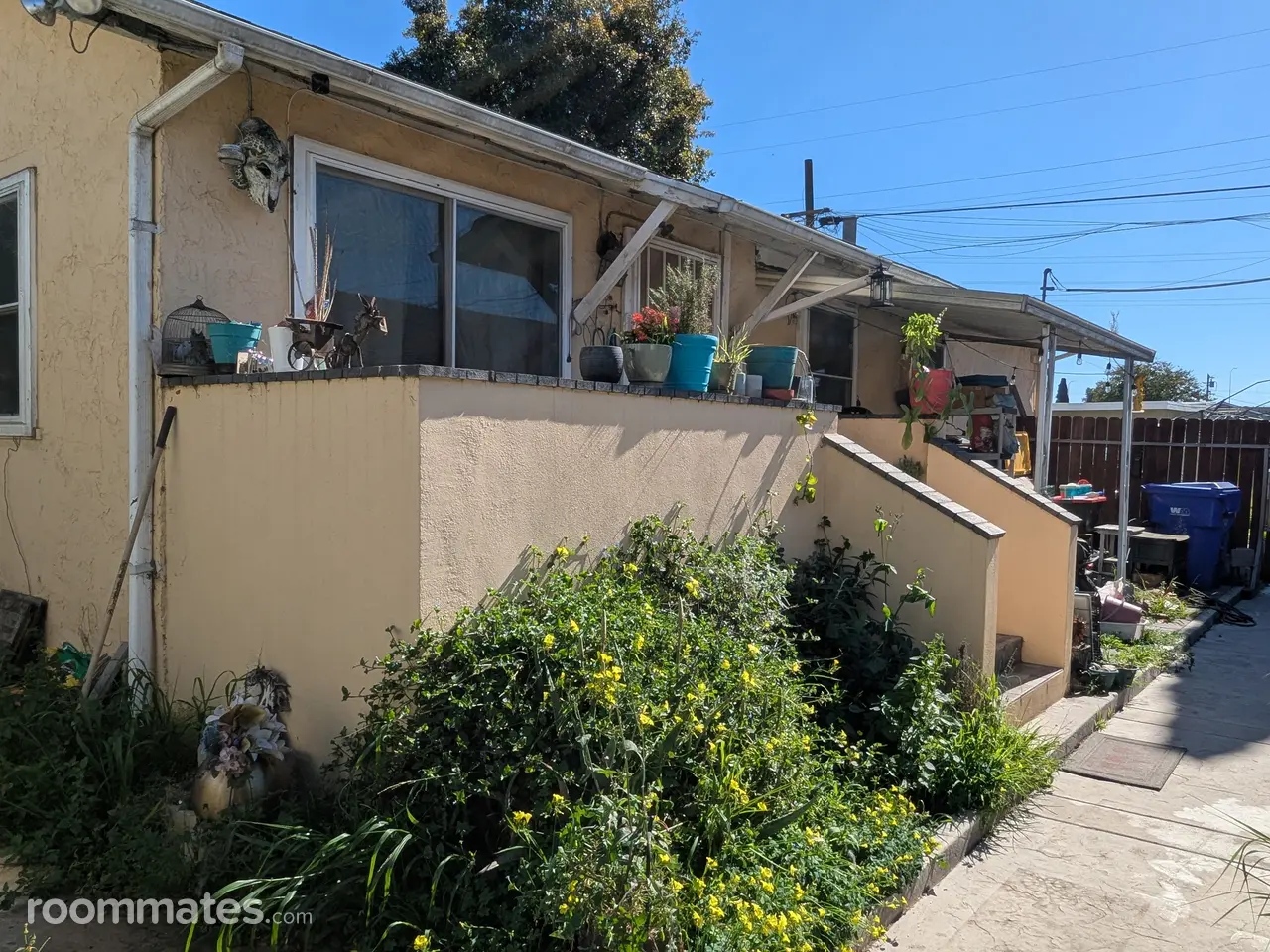 Profile photo 9 of 18