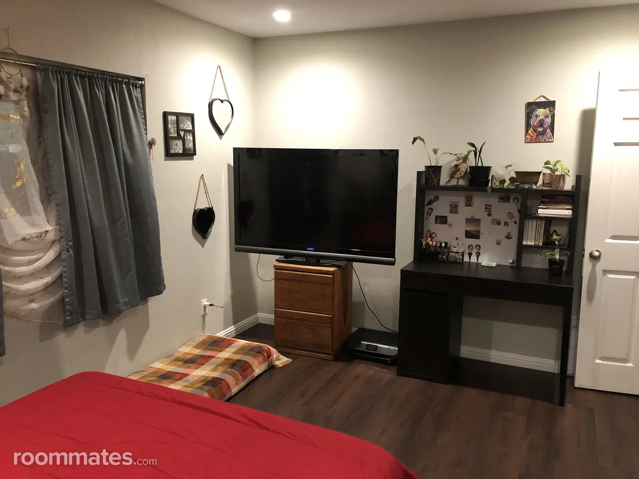 Profile photo 6 of 18