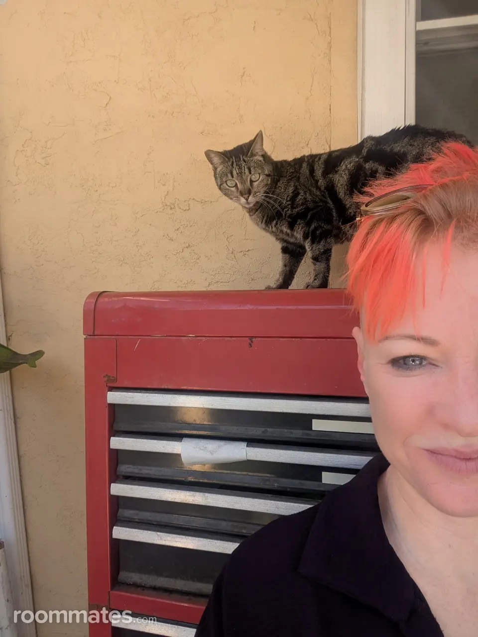 Profile photo 11 of 18