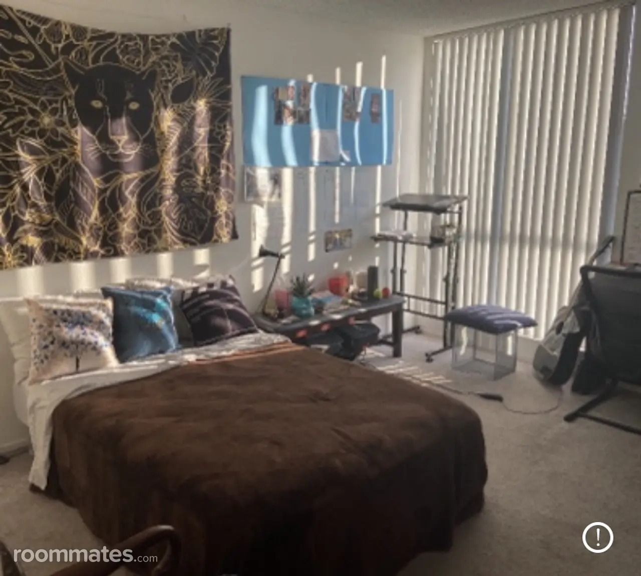 Profile photo 2 of 11