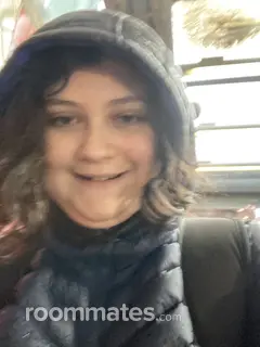 Roommate looking Somerville, MA, $1100