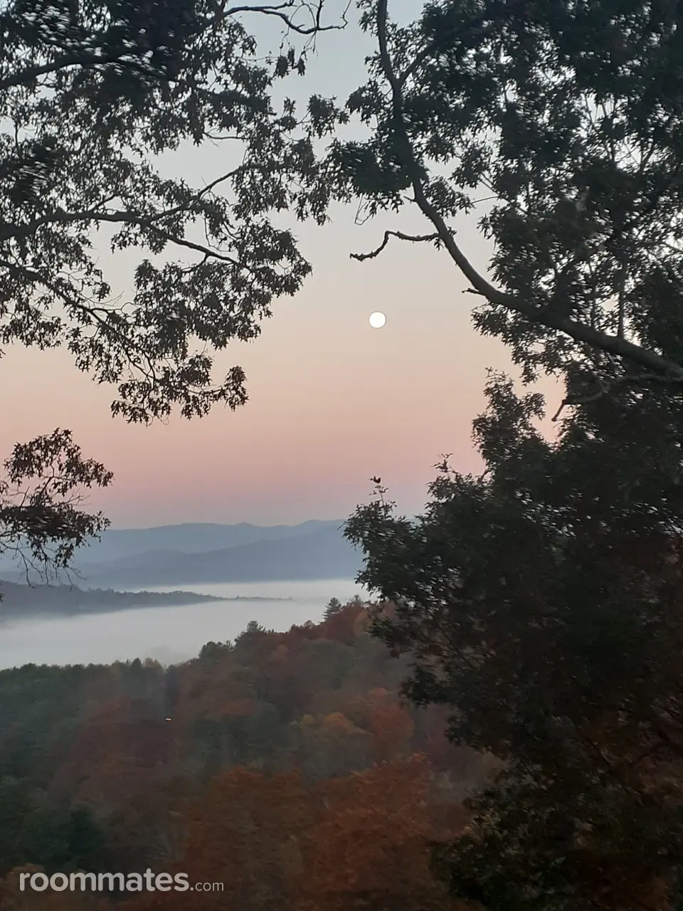 Profile photo 1 of 1