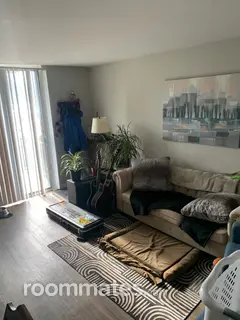 Room for rent in Schaumburg, IL $600, apartment