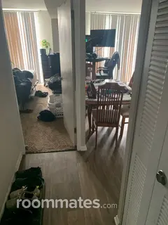 Room for rent in Schaumburg, IL $600, apartment