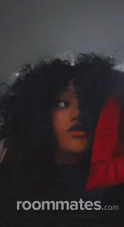 Roommate looking Saint Petersburg, FL, $800