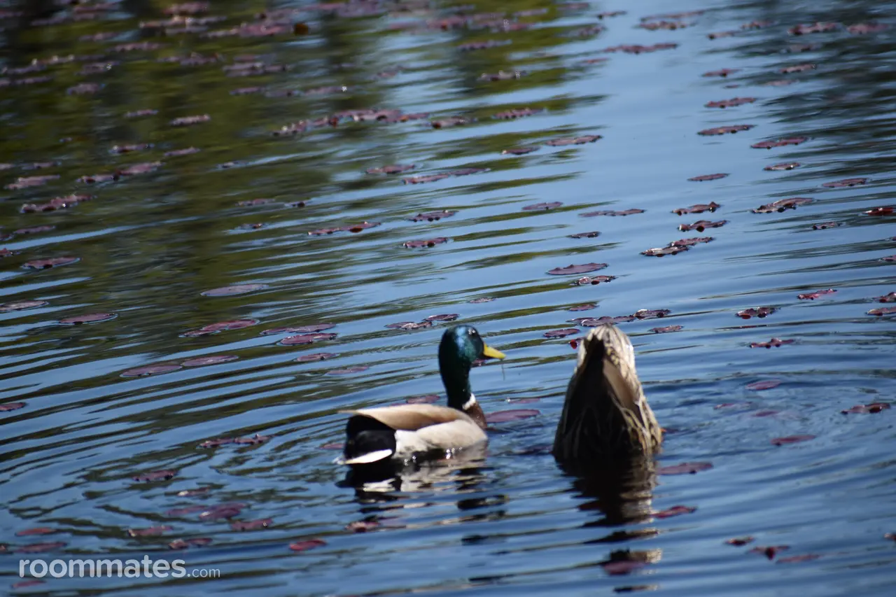 Profile photo 1 of 2