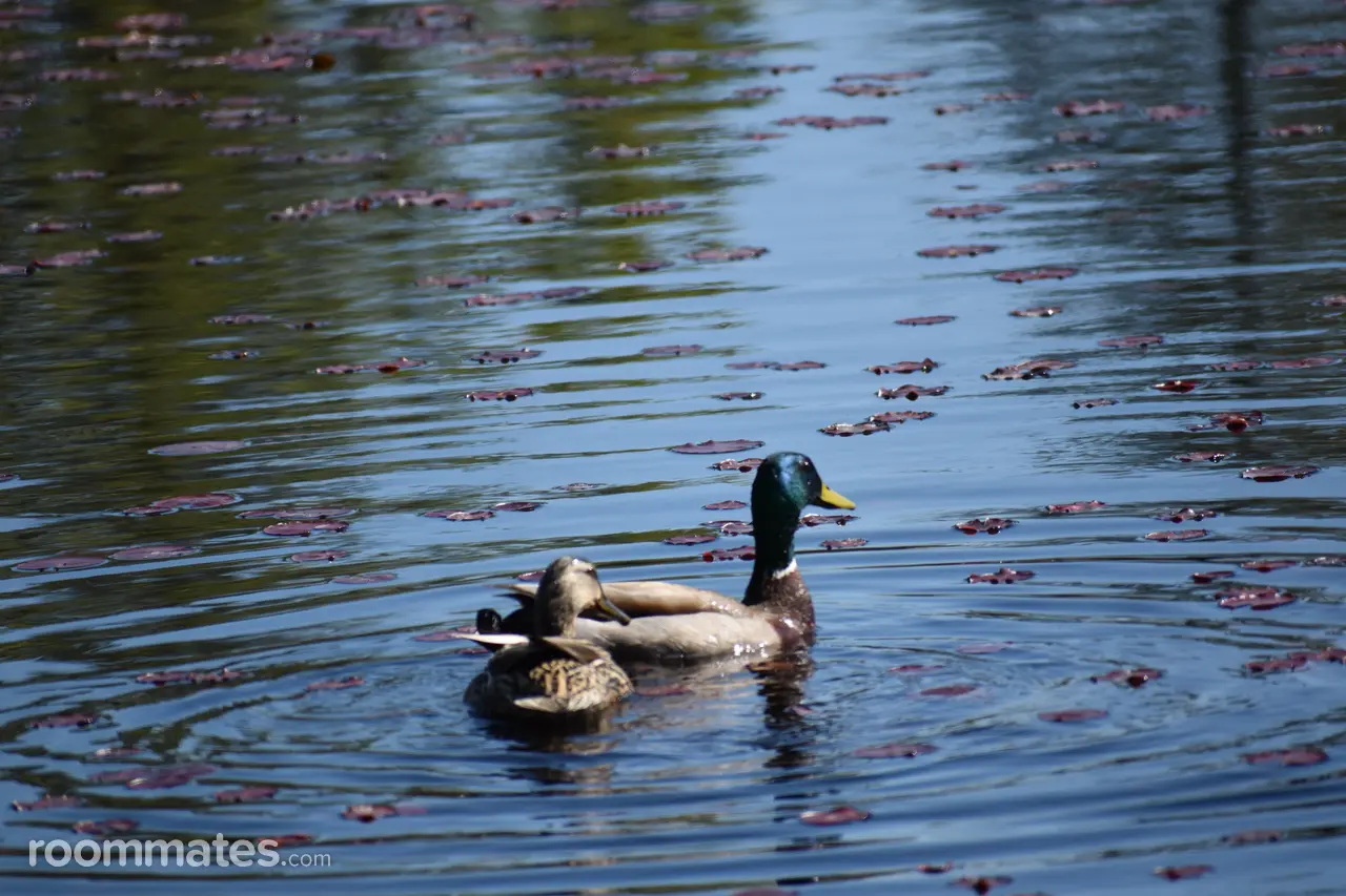 Profile photo 2 of 2