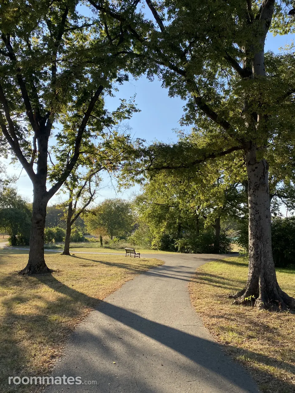 Profile photo 10 of 11