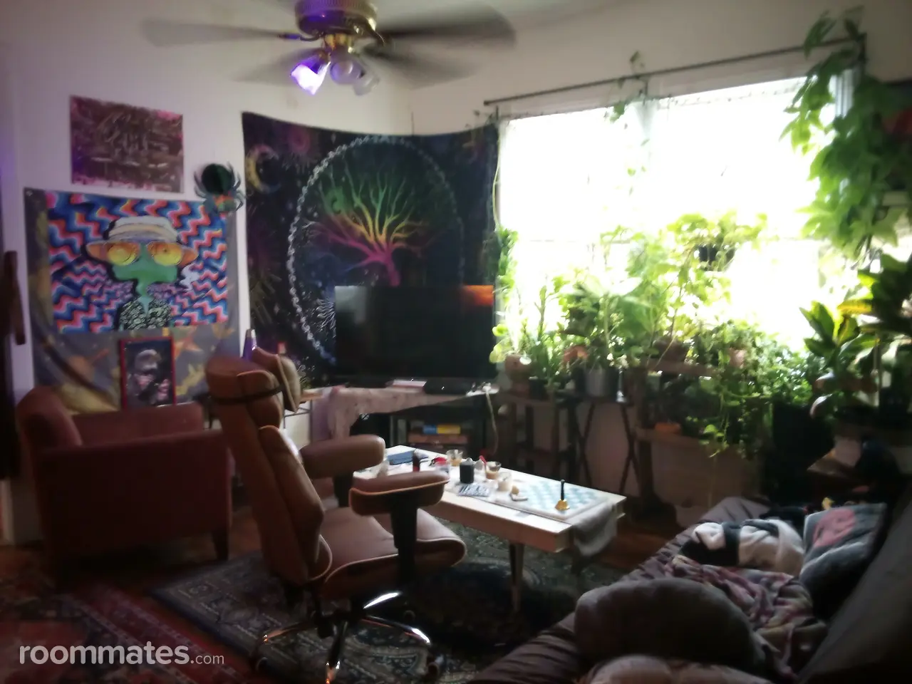 Profile photo 8 of 8