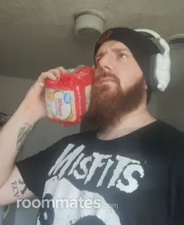 Roommate looking Fayetteville, AR, $800