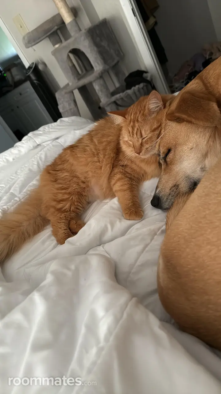 Profile photo 2 of 3