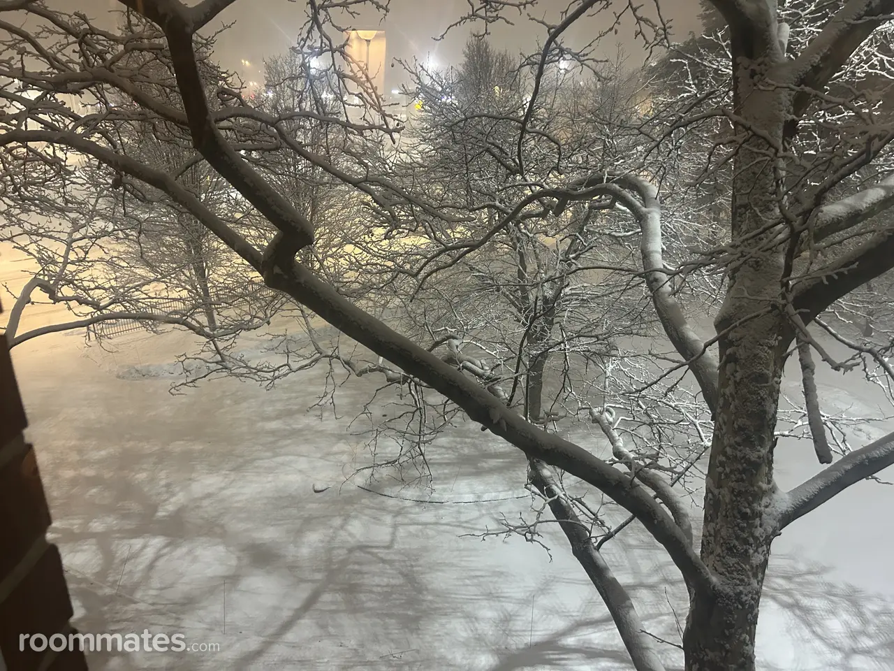 Profile photo 5 of 6