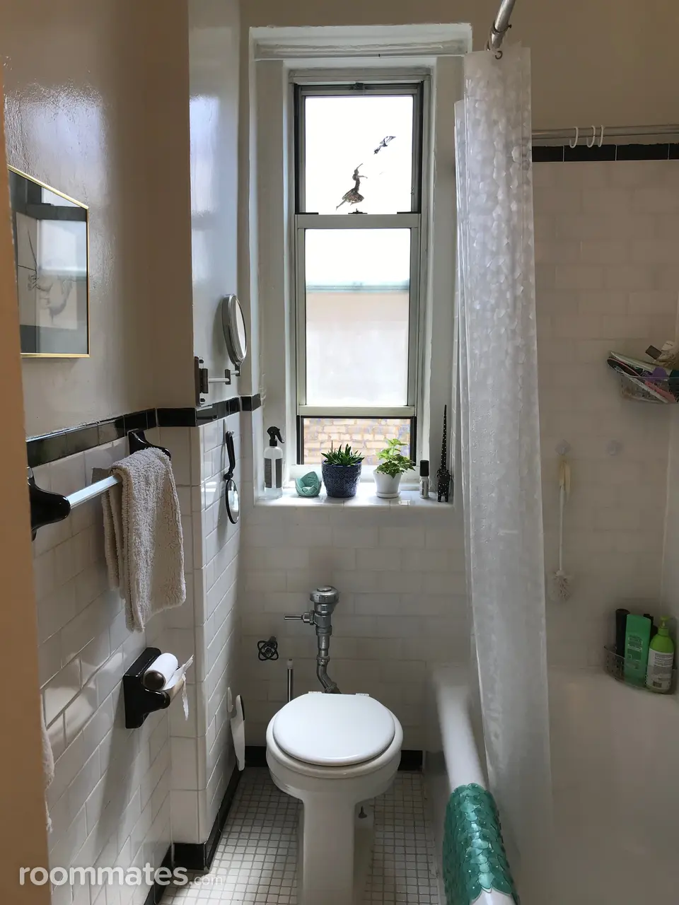 Profile photo 10 of 12