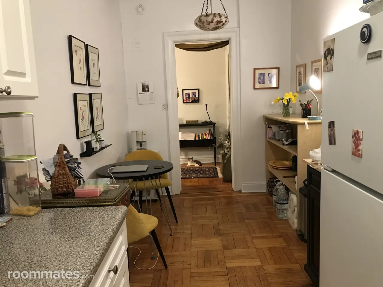 Profile photo 9 of 12