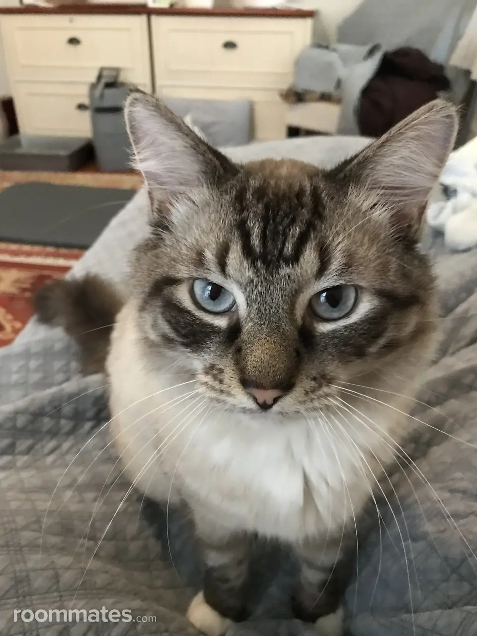 Profile photo 11 of 12