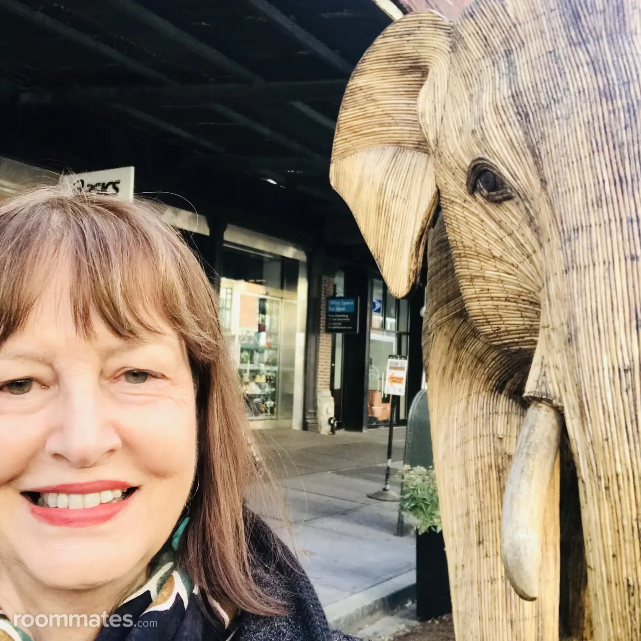 Profile photo 12 of 12