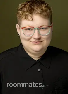 Roommate looking Los Angeles, CA, $1200