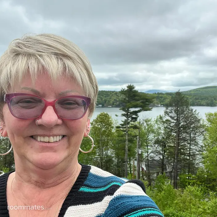 Roommate looking Marlborough, MA, $1000