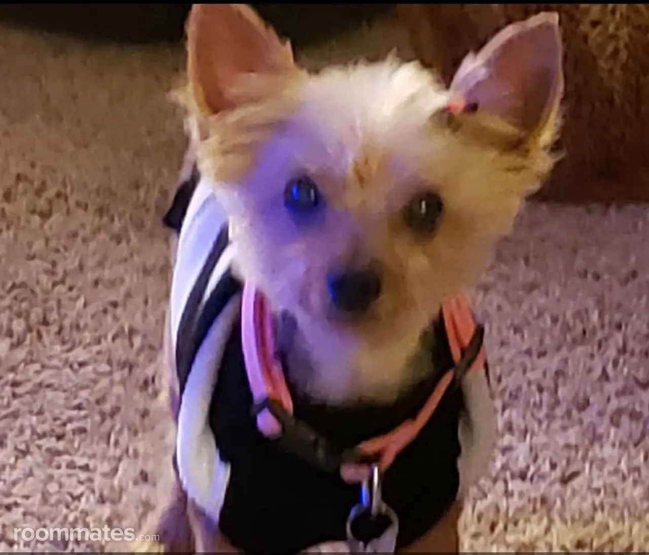 Profile photo 3 of 3