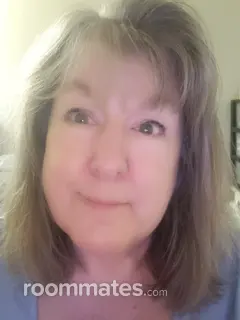 Roommate looking Mesa, AZ, $700