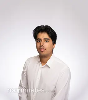 Roommate looking Hyannis, MA, $600