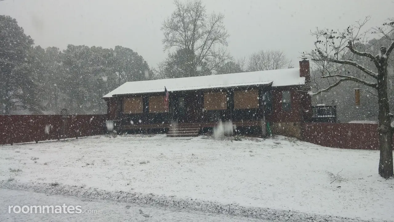 Profile photo 10 of 13