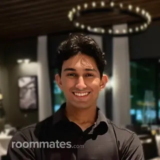 Roommate looking Dallas, TX, $800